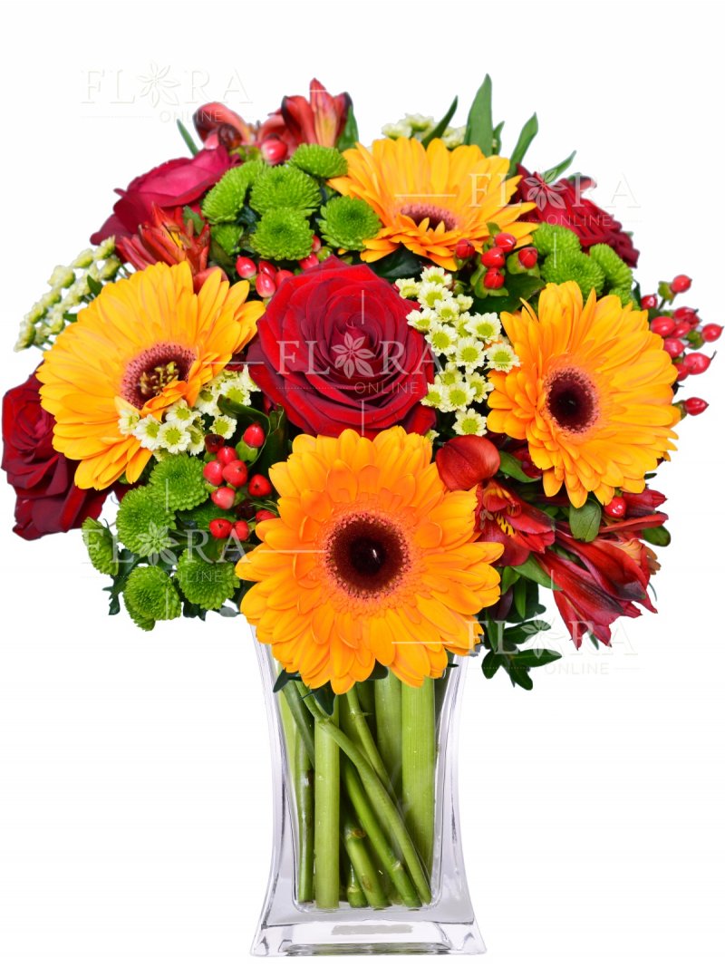 Roses + Gerberas: Delivery of flowers
