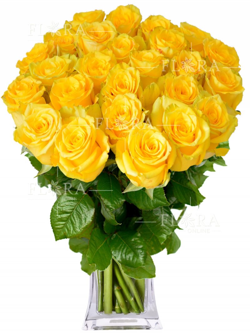 Žluté růže - Flora-Online