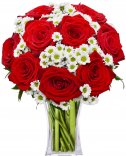 Červené ruže + Santini: rozvoz kvetín