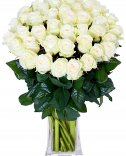 25 bílých růží : rozvoz květin