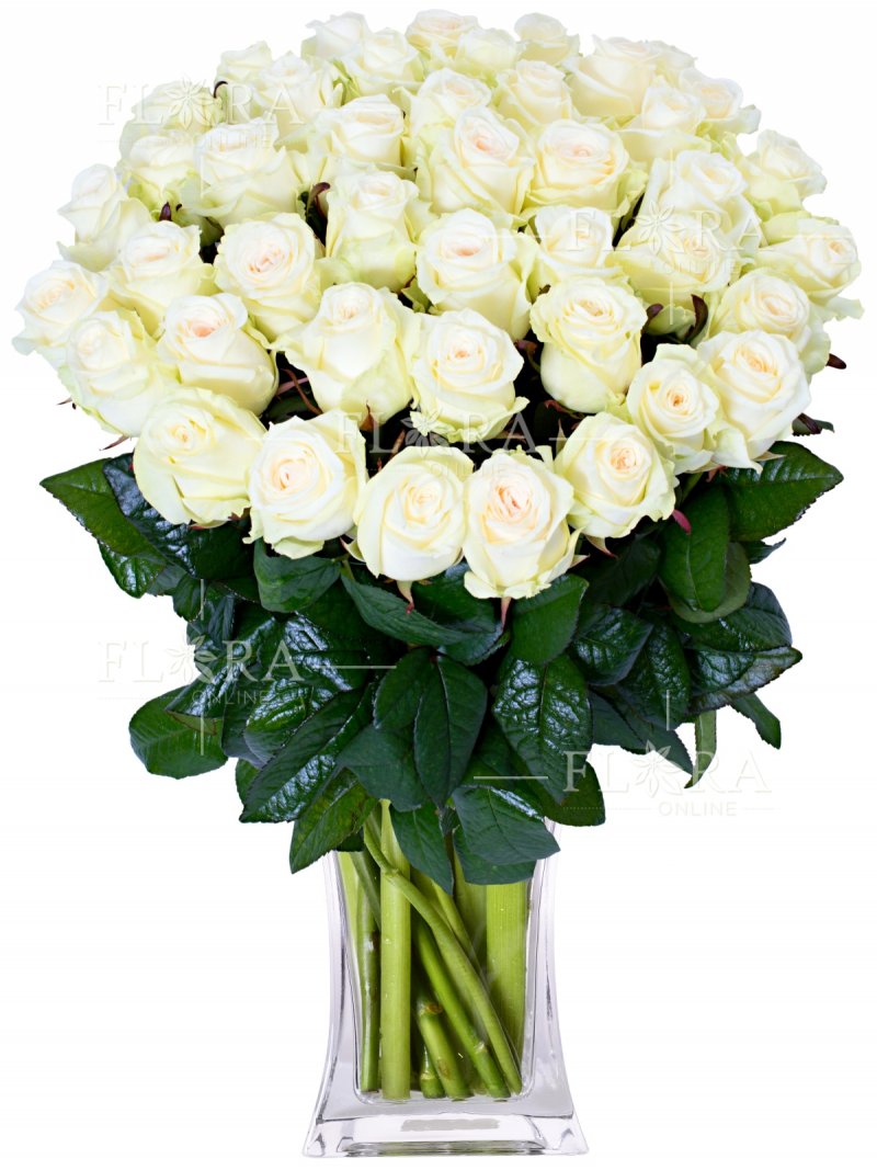 150 bílých růží : rozvoz květin